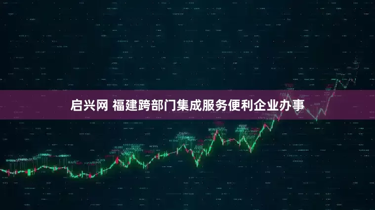启兴网 福建跨部门集成服务便利企业办事