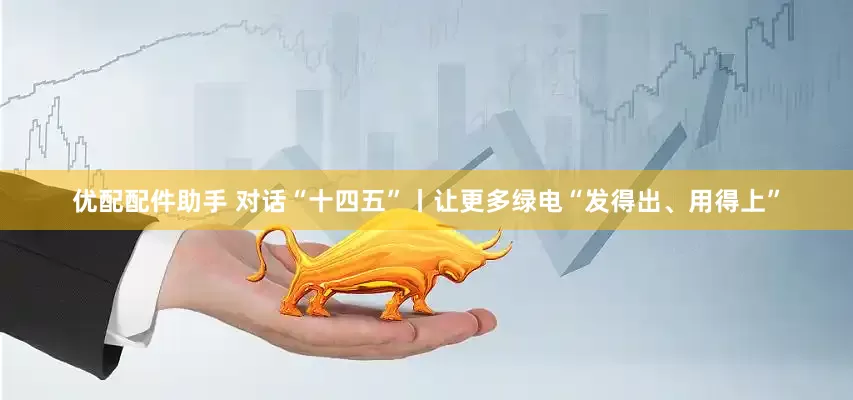 优配配件助手 对话“十四五”丨让更多绿电“发得出、用得上”