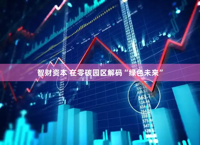 智财资本 在零碳园区解码“绿色未来”