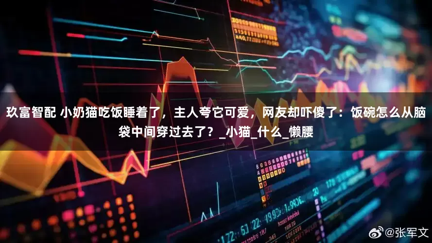 玖富智配 小奶猫吃饭睡着了，主人夸它可爱，网友却吓傻了：饭碗怎么从脑袋中间穿过去了？_小猫_什么_懒腰