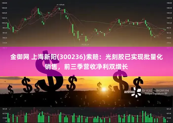 金御网 上海新阳(300236)索赔：光刻胶已实现批量化销售，前三季营收净利双增长